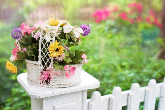 The Ultimate Guide to Gardening: Growing Your Own Floral Haven